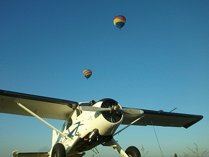 Beaver and balloons